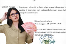 Segini Gaji dan Tunjangan 2025 PPPK Paruh Waktu dan Ada 7 Formasi Dibuka 