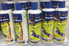 Manfaat Vienna Blue Horse Oil Shampoo, Bikin Rambut Sehat