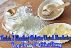 Inilah 7 Manfaat Gelatin Untuk Kesehatan Tubuh,Yuk Simak Disini