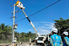 Tahu ada Aset Listrik PLN Dicuri Hingga Terganggu Keandalan dan Kenyamanan, Masyarakat Cegah Dengan Cara Ini 