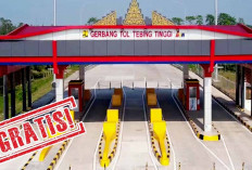 Jalan Tol Gratis Dilalui Saat Arus Mudik dan Balik Lebaran 2025, Cek Daftar 8 Lokasinya 