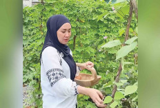 Ketua TP PKK Lubuk Linggau Risca Priba Ayu Ajak Ibu-ibu Manfaatkan Pekarangan Rumah untuk Berkebun