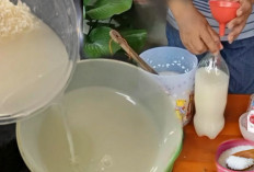 7 Manfaat Luar Biasa Air Cucian Beras dan Micin sebagai Pupuk Cair Organik