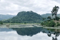 Bukit Layang, Keindahan Alam yang Tersembunyi di Muratara