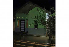 Masuk Musim Hujan, Imbau Warga Lubuk Linggau Waspada Angin Puting Beliung dan Banjir