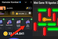 Update Terbaru Kunci Mini Game Hamster Kombat Hari Ini 18 Agustus 2024, Ikuti Polanya Dalam Waktu 30 Detik