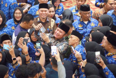 Kabar Baik Bagi Pegawai Non ASN, Pemprov Sumsel Usulkan Rekomendasi 6.120 Formasi PPPK Paruh Waktu