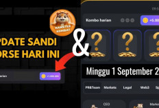 Sandi Harian dan Combo Harian Hamster Kombat Hari Ini Minggu 1 September 2024