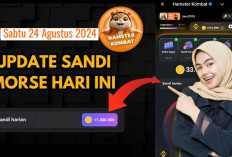 Baru Sandi Harian Hamster Kombat Hari Ini 24 Agustus 2024, Dapatkan hingga Jutaan Koin Gratis