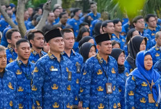 PPPK Lulusan D4 Gajinya Berapa? Alhamdulillah Segini Besarannya