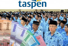 Daftar Tunjangan Pensiunan PNS November 2024 Apa Saja? Ini 3 Hak yang Tak Terganggu Gugat