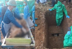 Polda Sumsel Gelar Ekshumasi Korban Dugaan Pembunuhan di OKU Selatan