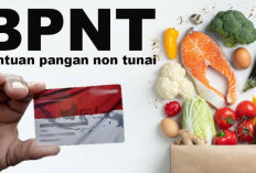 BPNT Tahap 3 2025, Buruan Cek Status dan Cairkan Bantuan Rp600.000 Sekarang