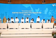 135 Mahasiswa Lolos Seleksi ITPLN,  Teken Kontrak Program Ikatan Kerja dengan PLN