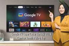 7 Google TV Layar Lebar Terbaik 2024, dengan Gambar Jernih Paling Top 