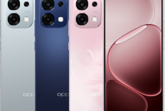 4 Rekomendasi HP Layar AMOLED dan Baterai Jumbo dengan Harga Terjangkau Januari 2026