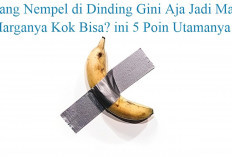 Pisang Nempel di Dinding Jadi Harga Tertinggi Kok Bisa? Ini 5 Poin Utamanya