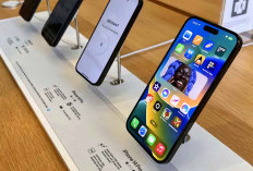 Daftar Harga iPhone Maret 2025 di iBox  Resmi Mulai iPhone 14 Hingga iPhone 16