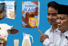 5 Fakta Susu Ikan Sebagai Program MBG Pengganti Susu Sapi Ala Prabowo dan Gibran