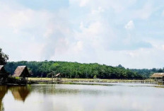 Objek Cahaya Senja dari Danau Merung Lesung Batu Muratara Favorit Fotografi dan Konten Kreator