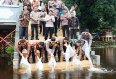 Tebar 100.000 Bibit Ikan Baung dan Kelemak di Danau Ulak Lia, ini Harapan Pemkab dan Kapolres Muba