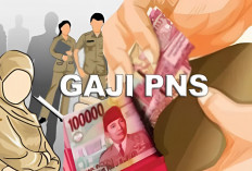 Waduh! Gaji PNS atau ASN Januari 2025 di Sumatera Selatan Belum Cair?