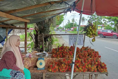 Musim Rambutan Membawa Berkah, Warga Musi Rawas Sehari Bisa Menjual 100 Kg