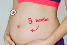 Ibu Hamil Wajib Ketahui, Berikut 6 Ciri-Ciri Hamil 5 Bulan yang Sehat Tanpa ke Dokter!