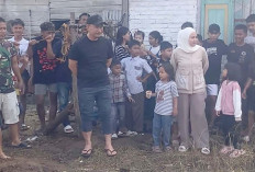 Wali Kota Lubuk Linggau Turun Langsung Sembelih Hewan Kurbannya