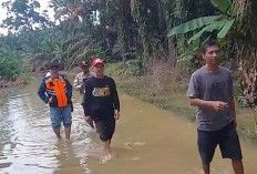 Mushala Hanyut, 4 Jembatan Gantung Putus, 16.169 Rumah Warga Muratara Terendam Banjir