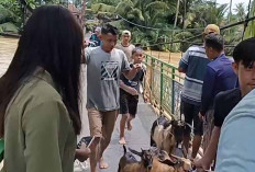 Siap Disaat Darurat, Bupati Muratara Instruksikan Setiap Kades Harus Punya Ketek
