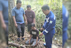 Pria Asal Musi Rawas  Tega 'Garap' Keponakan Sendiri di Tepi Sungai, Modusnya Bahaya Banget 