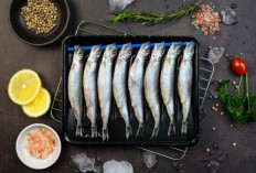 Kandungan dan Manfaat Konsumsi Ikan Shisamo