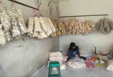 Bertahan Ditengah Gempuran Usaha Kuliner Lubuk Linggau, Kerupuk Ubi Kiki Darmawan Tetap Best Seller