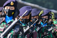 Ada 35 Jurusan D4 hingga S1 Khusus Wanita Dibutuhkan TNI 2024, Adakah Jurusanmu?