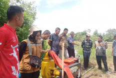 90 Hektar Sawah di Desa Suka Mulya Kabupaten Musi Rawas Terancam Kekeringan Dampak Perubahan Iklim