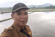 BPP Tugumulyo, Dorong Percepatan Tanam Padi dan Serapan Gabah 