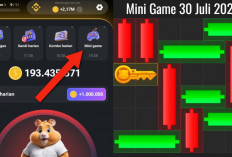 Update Terbaru Kunci Mini Game Hamster Kombat Hari Ini 30 Juli 2024, Ikuti Polanya Dalam Waktu 30 Detik