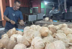 Kelapa Langkah Harga Santan Melonjak Harga Jual Bervariasi Rp 40.000 hingga Rp 60.000 Per Kg 