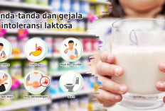 8 Susu Bayi Bebas Laktosa Jadi Alternatif Terbaik Bagi yang Intoleransi Laktosa