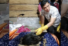 Temuan Tulang Diduga Milik Kelvin, Pelajar di Musi Rawas yang Hilang. Ini Penjelasan Polisi