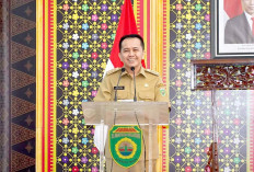 Pengurus Persaudaraan Nusantara Sumsel Bersatu Deklarasi Pilpres Damai 