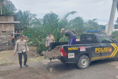 Rawan Kecelakaan Anggota Polres Mura Ajak Warga Gotong Royong Perbaiki Jalan Rusak 