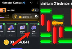 Kunci Mini Game Hamster Kombat Hari Ini Selasa 3 September 2024, Ini Polanya