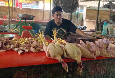 Harga Daging Ayam di Lubuk Linggau Tembus Rp 42 Ribu Per Kg