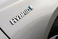 Siapa Sangka, Mobil Hybrid Lebih Banyak Dipilih Warga AS Ketimbang Kendaraan Listrik