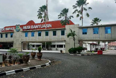 Kebijakan WFH Bikin Muba Hemat Biaya Listrik 20 Persen
