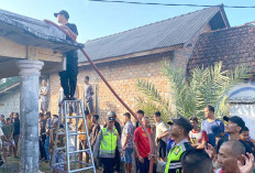 Rumah Mewah Terbakar, Lansia Idap Stroke jadi Korban