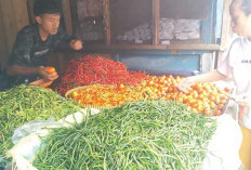 Stok Berlimpah, Harga Cabai di Lubuk Linggau Masih Tinggi