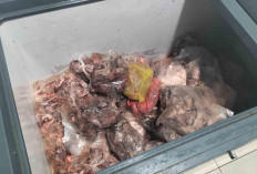Minat Daging Frozen Menurun Usai Lebaran, Penjual Tetap Optimistis Layani Pembeli